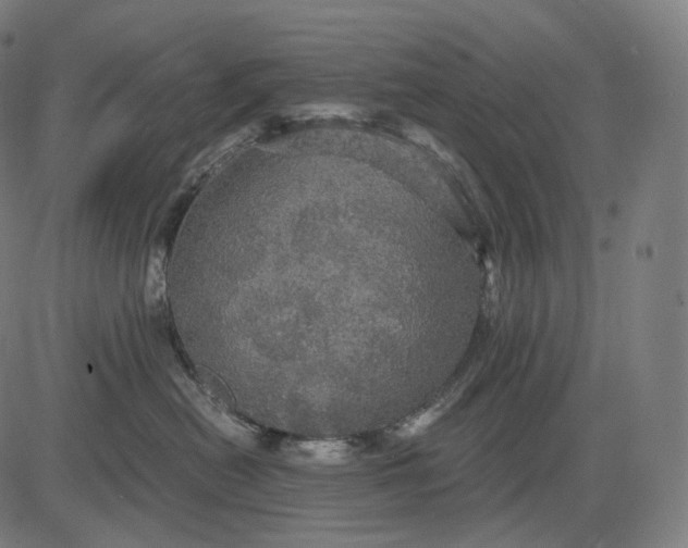 X0000084530478200703091633