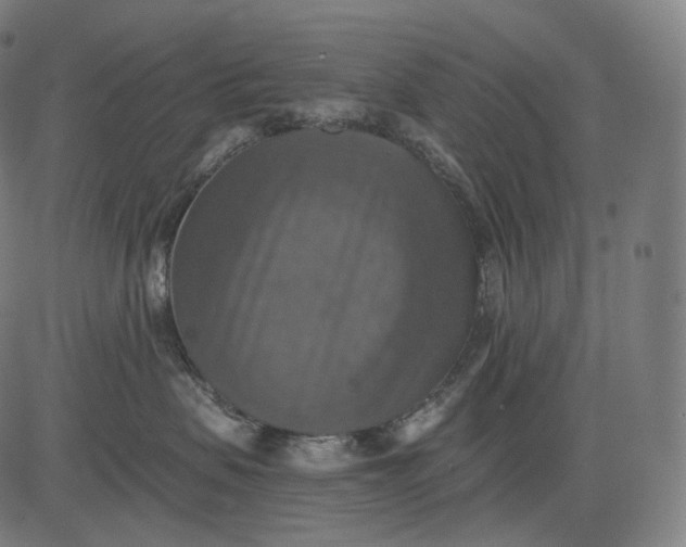 X0000084530479200703091633