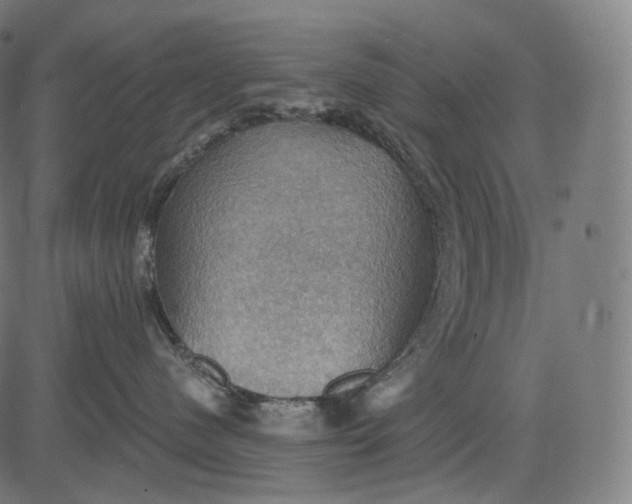 X0000084530480200703091633