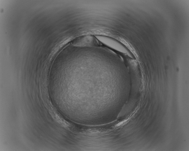 X0000084530481200703091632