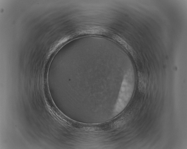 X0000084530482200703091632