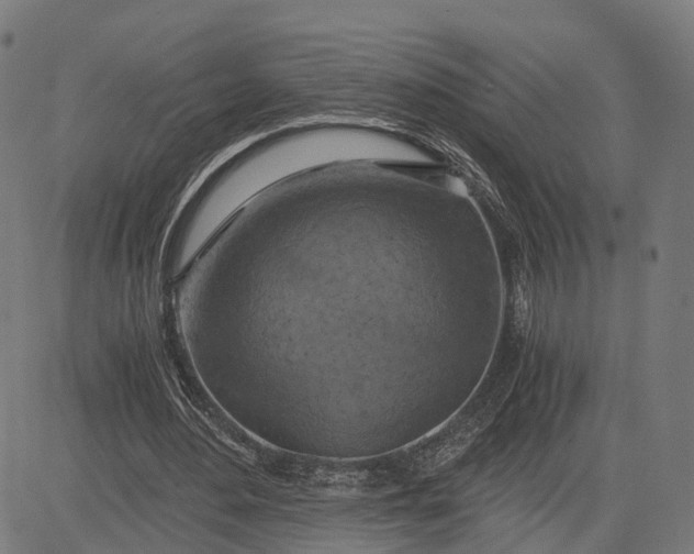 X0000084530484200703091632