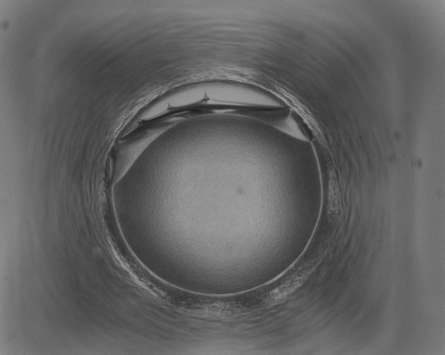 X0000084530485200703091632