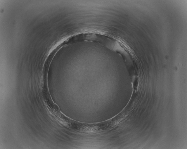 X0000084530488200703091632