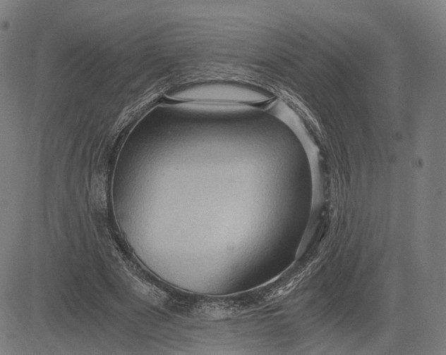 X0000084530489200703091632