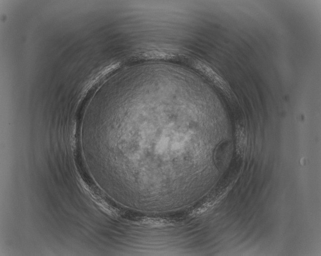 X0000084530490200703091632