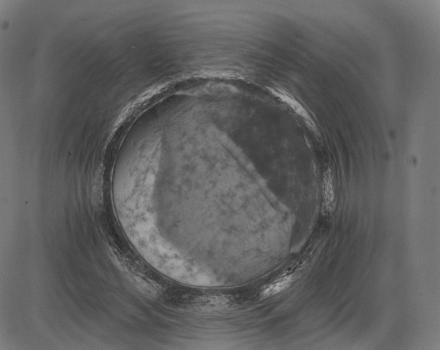 X0000084530492200703091632