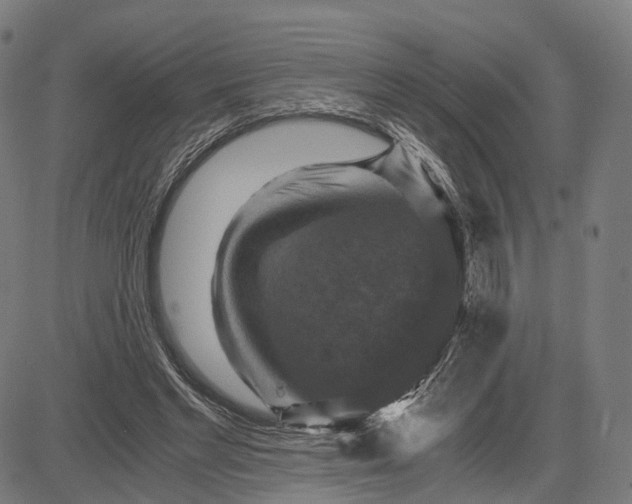 X0000084530493200703091632