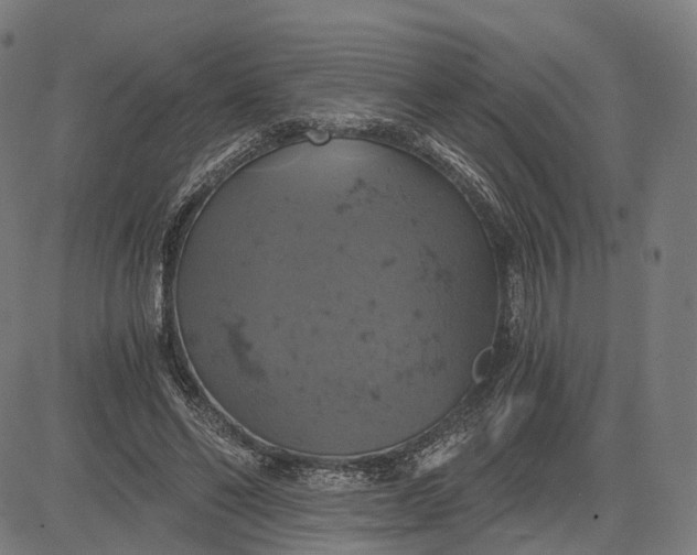 X0000084530494200703091632