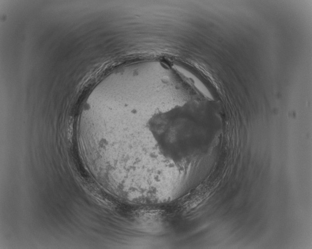 X0000084530495200703091632