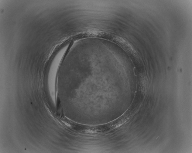 X0000084530496200703091632