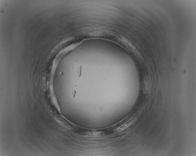 X0000084530497200703091631