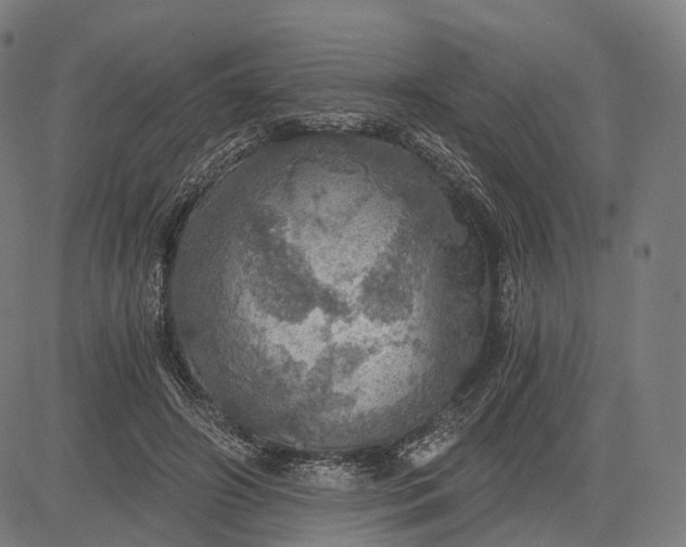 X0000084530498200703091631