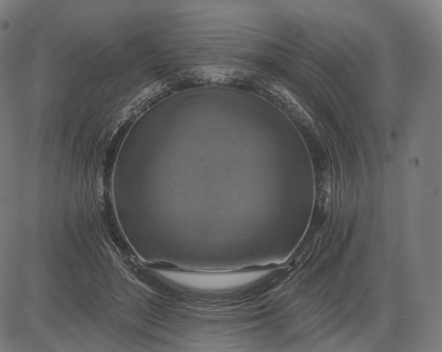 X0000084530500200703091631