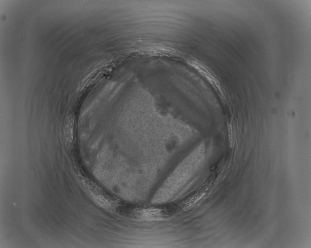 X0000084530501200703091631