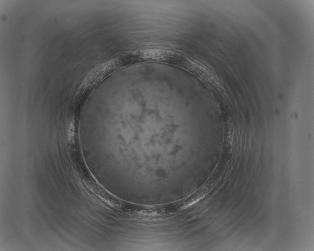 X0000084530502200703091631