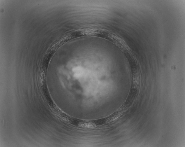 X0000084530503200703091631