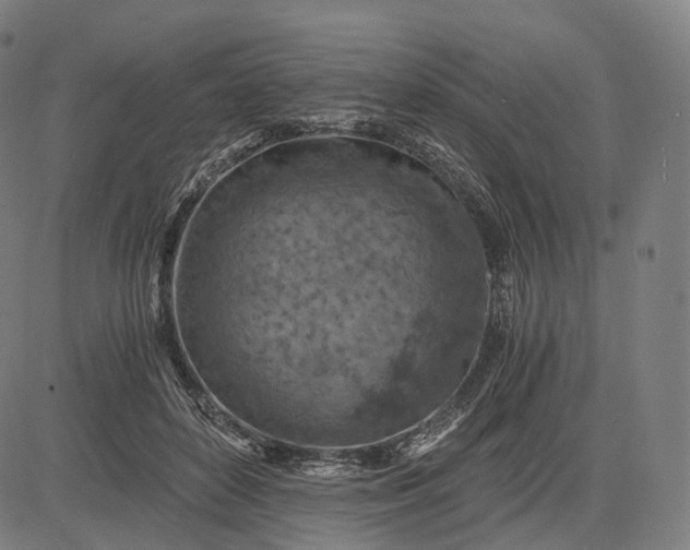 X0000084530504200703091631