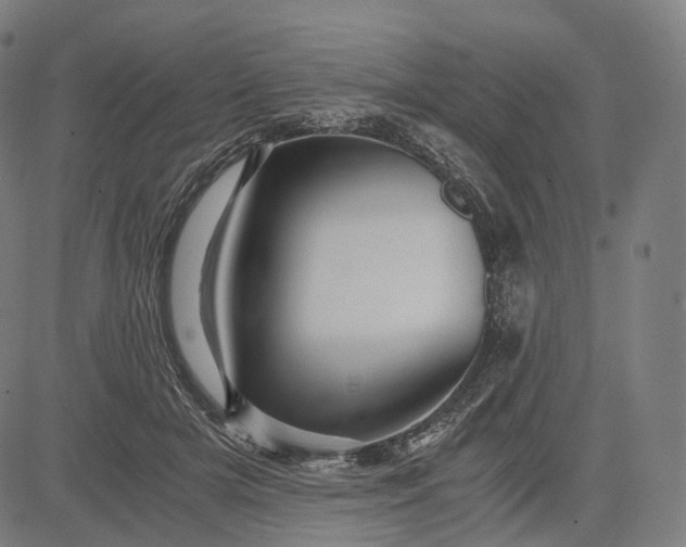 X0000084530505200703091631