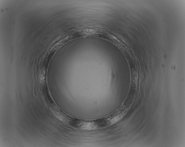 X0000084530507200703091631