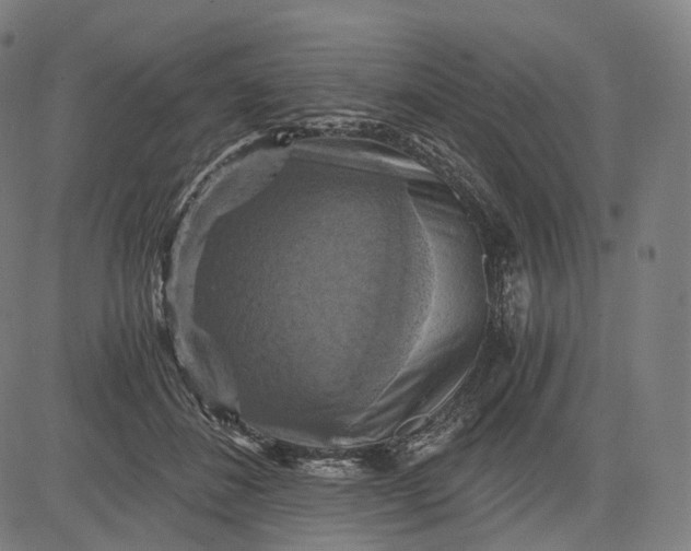 X0000084530508200703091631