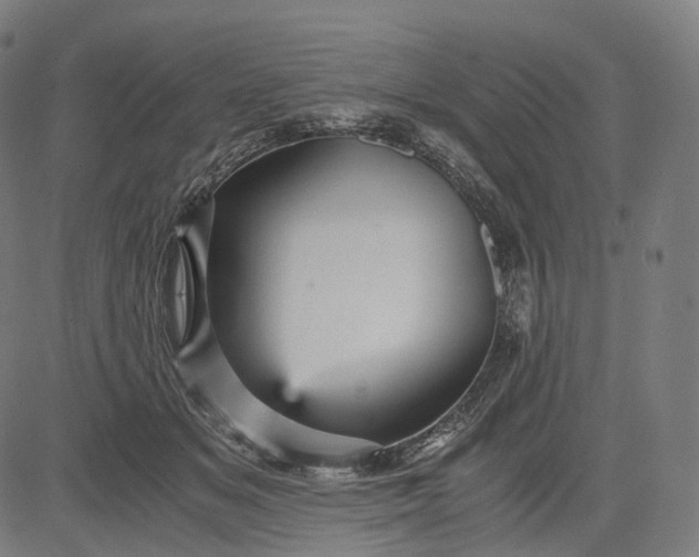 X0000084530509200703091631