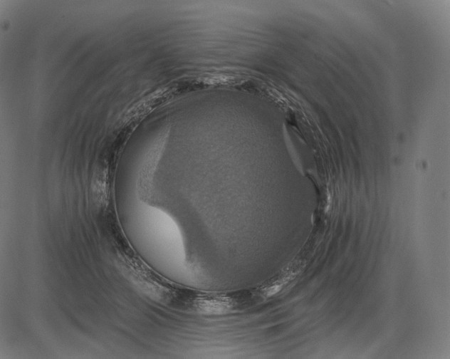 X0000084530510200703091631