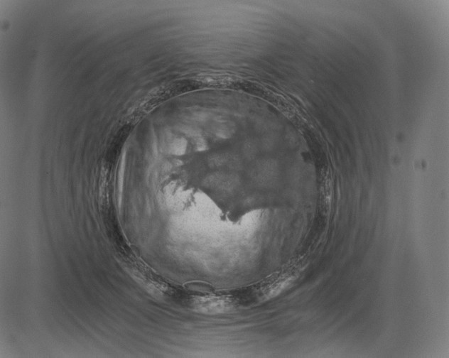 X0000084530511200703091631