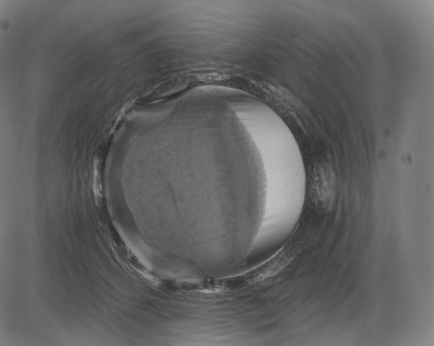 X0000084530512200703091631