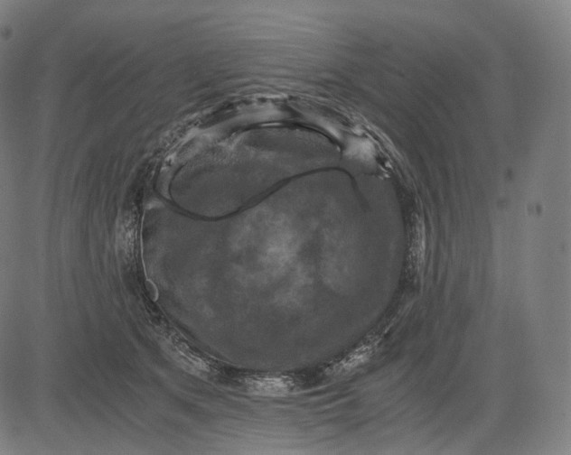 X0000084530513200703091631