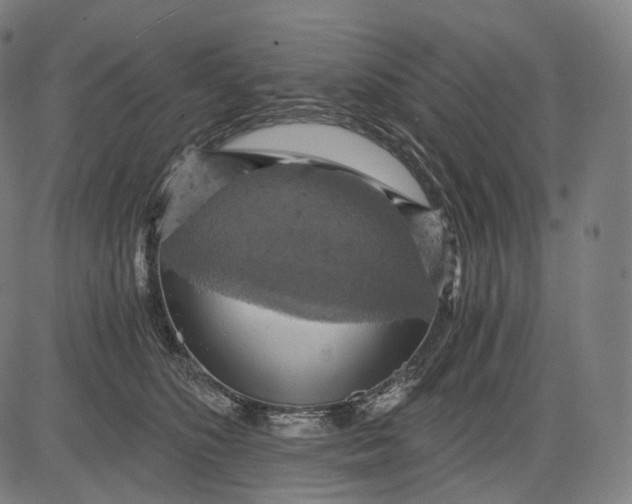 X0000084530516200703091631