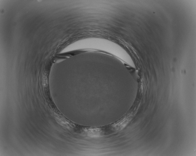 X0000084530517200703091631