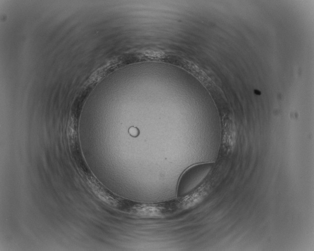 X0000084530518200703091631