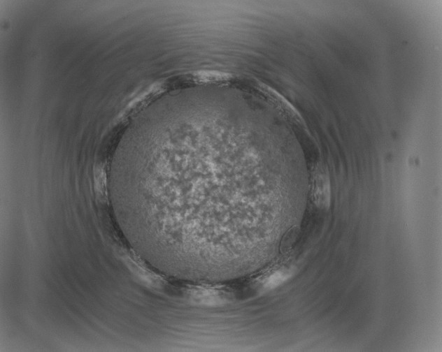 X0000084530523200703091631