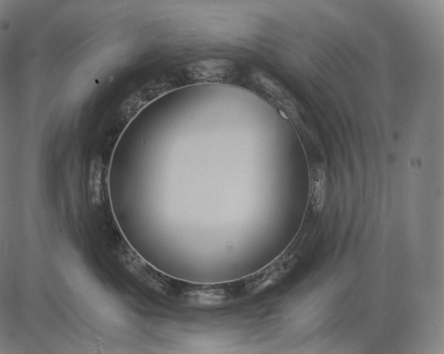 X0000084530525200703091631