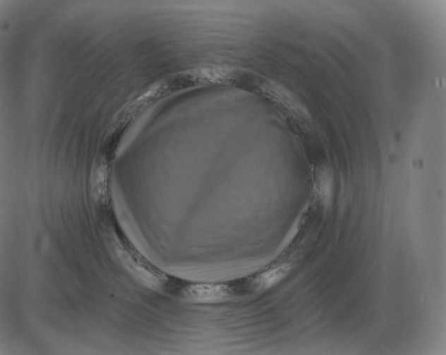 X0000084530526200703091631