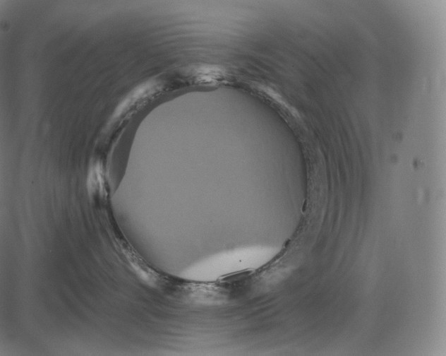 X0000084530528200703091631