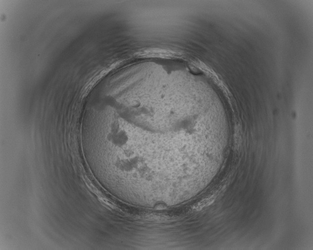 X0000084530529200703091630