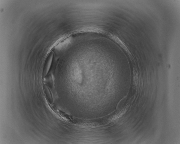 X0000084530530200703091630