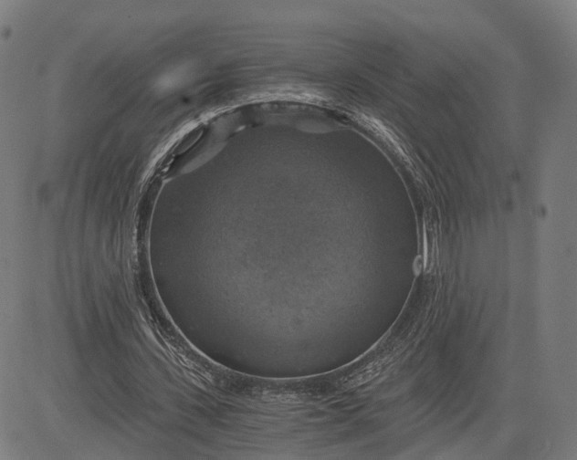 X0000084530531200703091630