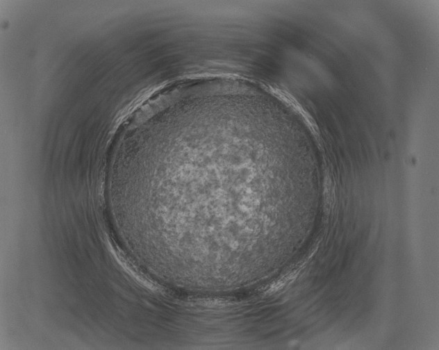 X0000084530533200703091630