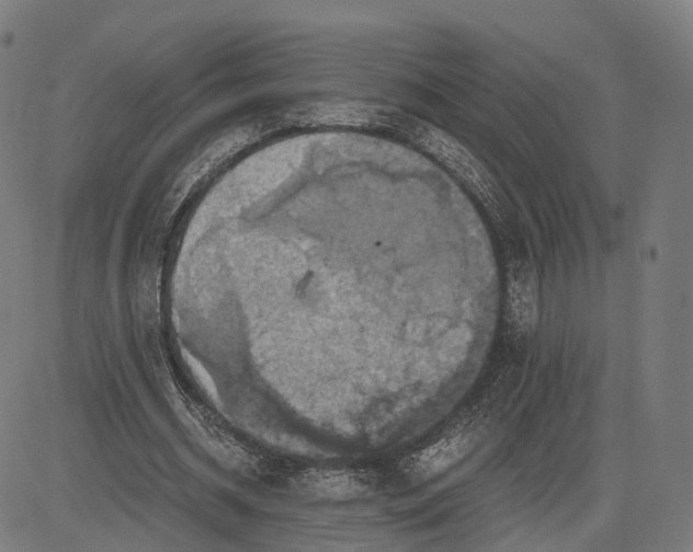 X0000084530534200703091630