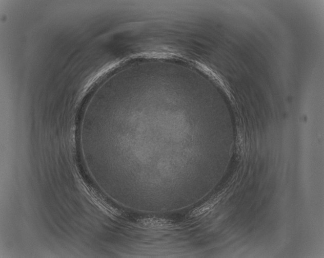 X0000084530535200703091630