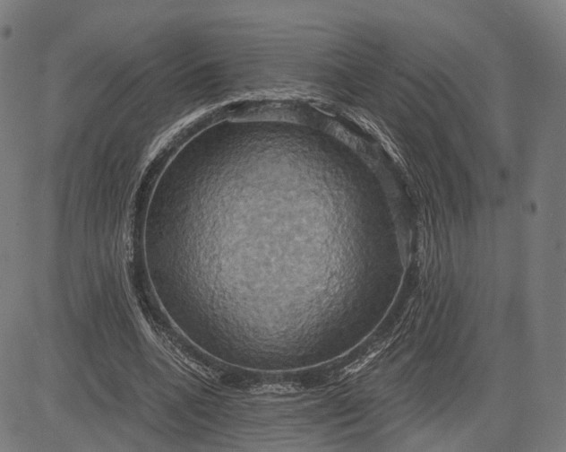 X0000084530536200703091630