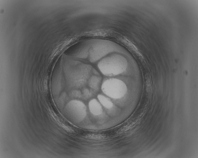 X0000084530537200703091630