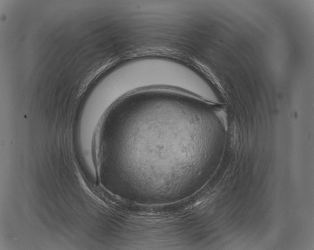 X0000084530538200703091630