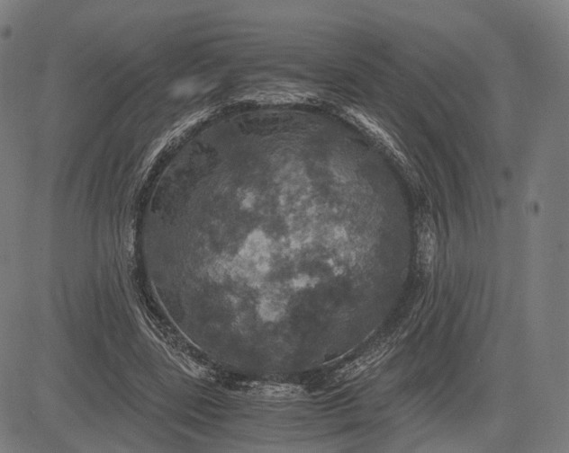 X0000084530539200703091630