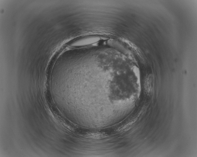 X0000084530540200703091630