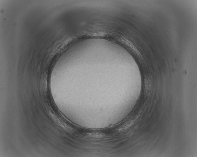 X0000084530541200703091630