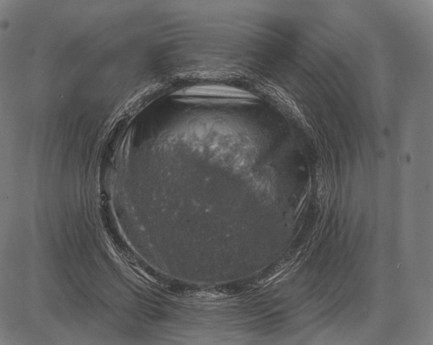 X0000084530542200703091630